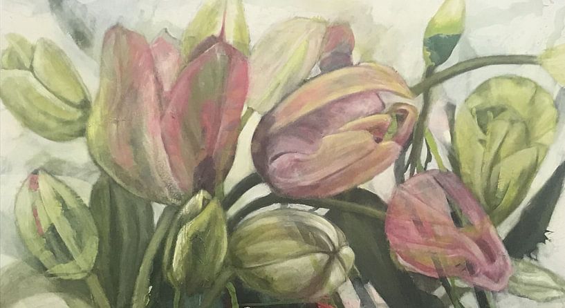 'Tulipa' by Marita Braun