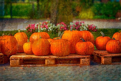 Autumn Fever
