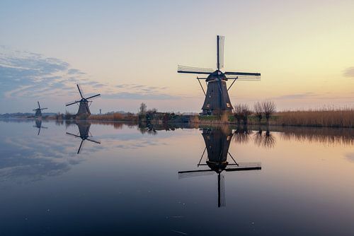 Windmolens in de ochtend