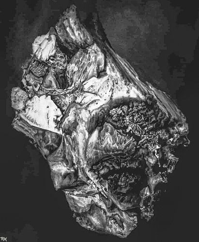 Gems steen en natuur silver