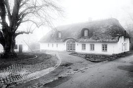 Die Reetdachkate von Heiko Westphalen