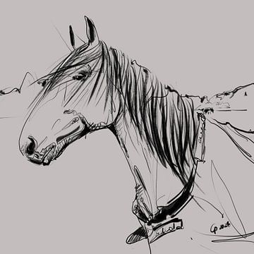 Horse Lou by Go van Kampen