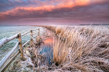 January sunrise - National Park Lauwersmeer