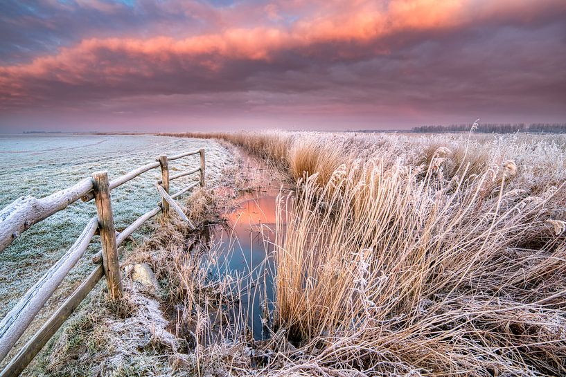 Lever du soleil de janvier - Parc national Lauwersmeer par Bas Meelker