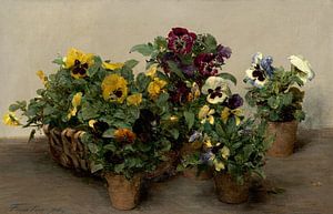 Veilchen, Henri Fantin-Latour - 1874