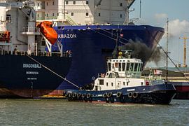 Tug in action in the Waalhaven Rotterdam by scheepskijkerhavenfotografie