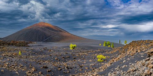 Tussen vuur en stilte - Het zwarte hart van de Chinyero