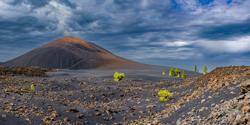 Zwischen Feuer und Stille – Das schwarze Herz des Chinyero von Walter G. Allgöwer