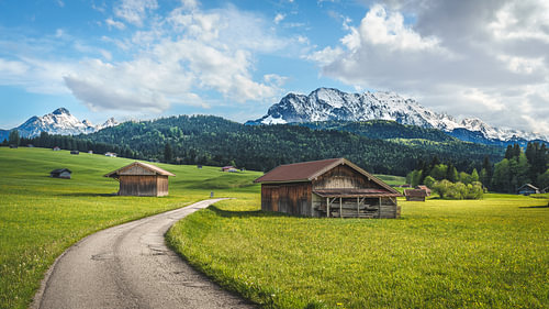 Buckelwiesen, Mittenwald [II]