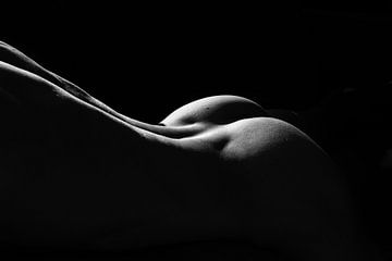 Naakt bodyscape in zwart wit van MJB Photography