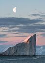 Der Mond in der Discobay-Bucht, Grönland von Anges van der Logt Miniaturansicht