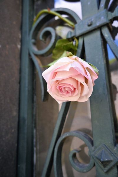 Père Lachaise von Frank Ubachs fotografie