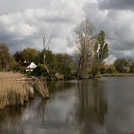 eine idyllische Polderlandschaft mit Cumuluswolken von W J Kok
