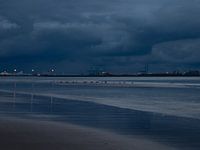 View of Zeebrugge during blue hour
