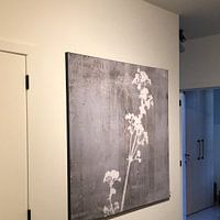 Photo de nos clients: Fleur. Illustration botanique de style rétro en blanc sur fond gris brun rouille. par Dina Dankers, sur artframe
