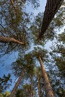 Onbewoond eiland in Zweden