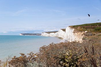 White Cliffs Seven Sisters Klippen an der Küste Englands