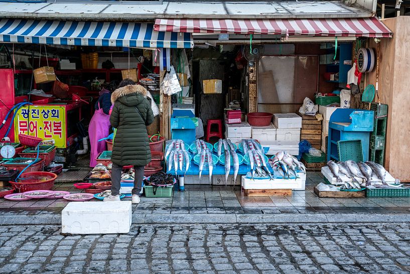 Vrouw bij een vis winkel in Korea van Mickéle Godderis