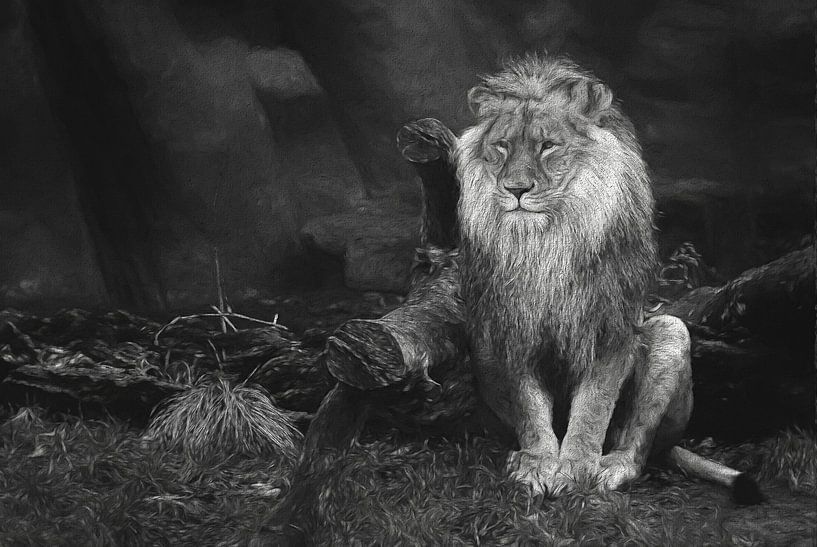 De koning van de wildernis in zw-wit van Tejo Coen