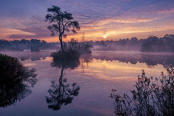 Zonsopkomst Oisterwijkse Vennen