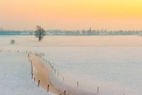 Paysage hivernal enneigé au lever du soleil