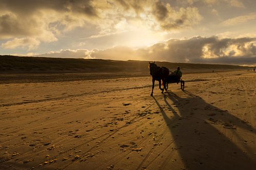 Strand landschap in de morgen met sulky in Egmond