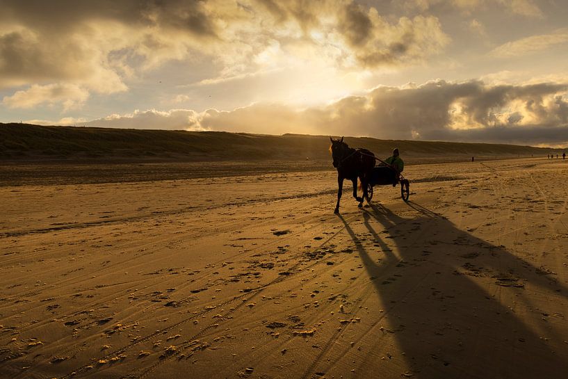 Beach landscape with sulky in Egmond by Marianne van der Zee