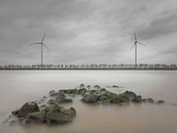 Grijze winterochtend aan de Nieuwe Waterweg