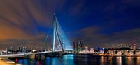 Panorama Erasmus Bridge