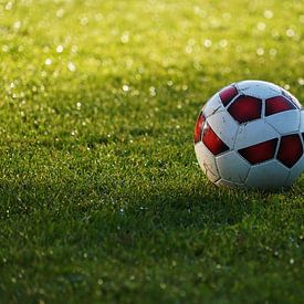 Football on wet pitch by Tom Van Dyck