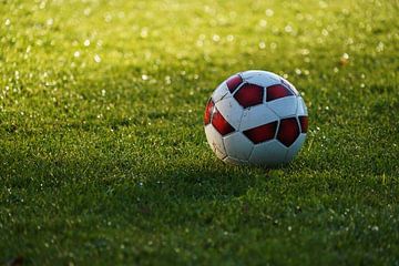 Voetbal op nat veld van Tom Van Dyck