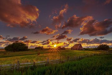 Texel oude schuur van Andy Luberti