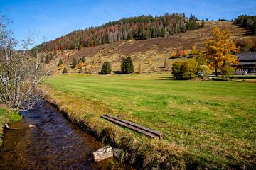 Menzenschwander Goat Trail by Alexander Wolff