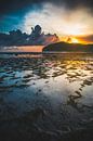 Yoyo beach Sumbawa van Andy Troy thumbnail