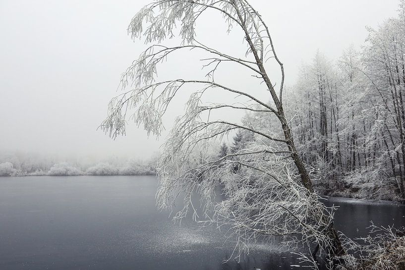 Schwackenreuter Seen lakeside landscape in winter by BlattArt - Christine Horn
