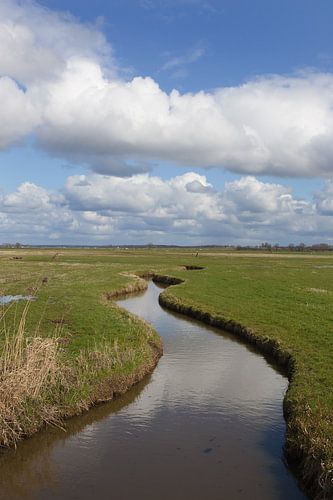 IJsselmeersloot