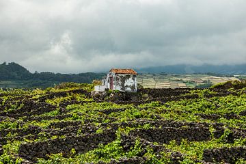 Azoren archipel, Terceira, prachtige vulkaaneilanden in Atlantische Oceaan. van Marjolein Zijlstra