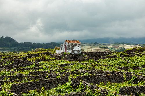 Azoren archipel, Terceira, prachtige vulkaaneilanden in Atlantische Oceaan.