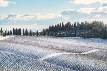 Rare Winter Snowfall over the Radda in Chianti Vineyards by Stefano Orazzini