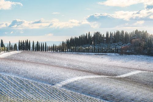 Seltener Winterschneefall über den Weinbergen von Radda in Chianti von Stefano Orazzini