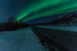 Aurores boréales dans le nord de la Norvège sur Kimberly Lans