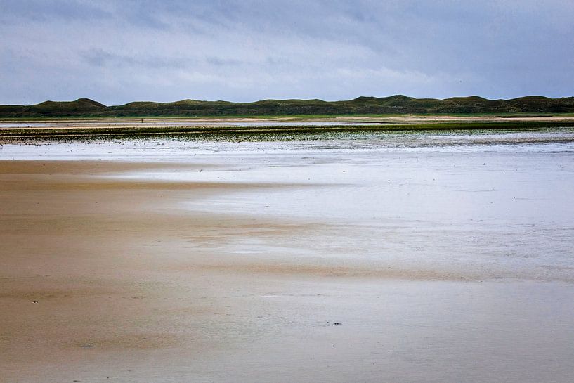 Naturschutzgebiet De Slufter auf der Insel Texel von Rob Boon