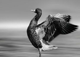 Goose in the wind by Atelier UNBUNT