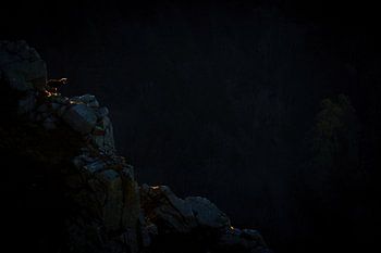 Silhouette einer Gämse
