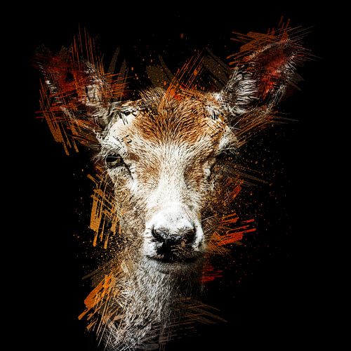 Portrait of a fallow deer (abstract, art)