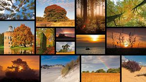 paysage collage