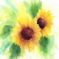 Deux tournesols carrés