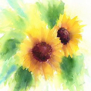 Deux tournesols carrés