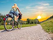 jonge vrouw met de fiets op de Donau fietsroute van Animaflora PicsStock thumbnail