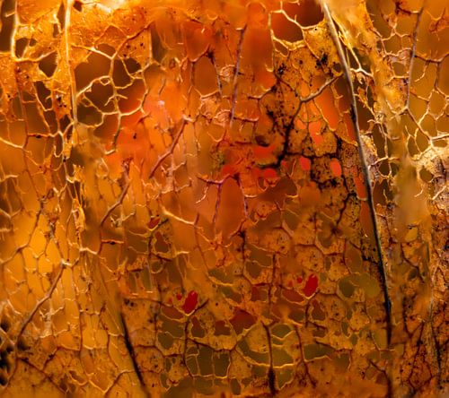 Art abstrait doré